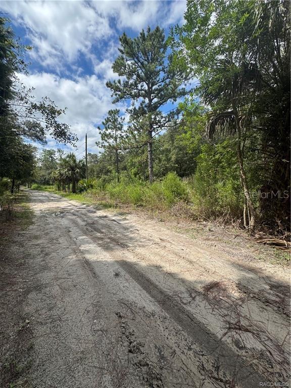 2963 N OAKLAND TER, CRYSTAL RIVER, FL, 34428