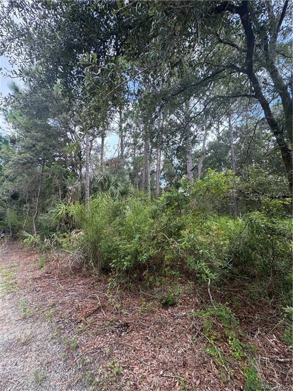 2963 N OAKLAND TER, CRYSTAL RIVER, FL, 34428