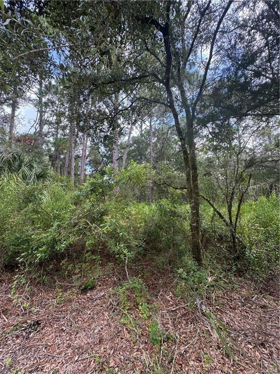 2963 N OAKLAND TER, CRYSTAL RIVER, FL, 34428