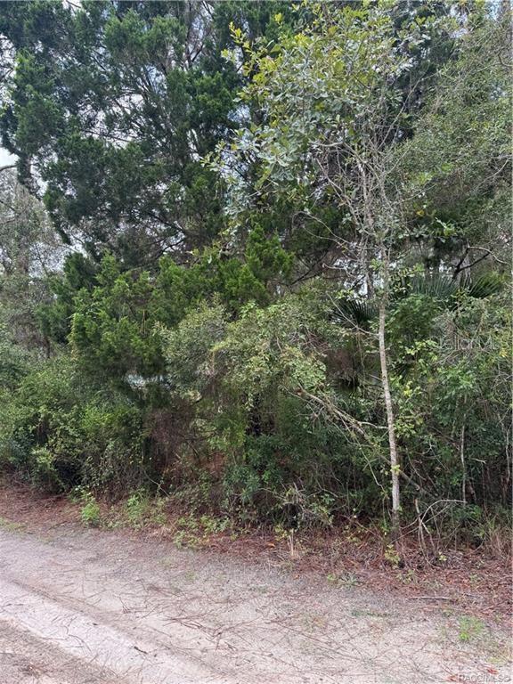 2963 N OAKLAND TER, CRYSTAL RIVER, FL, 34428