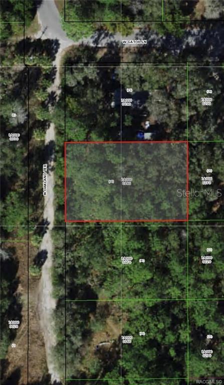 2963 N OAKLAND TER, CRYSTAL RIVER, FL, 34428