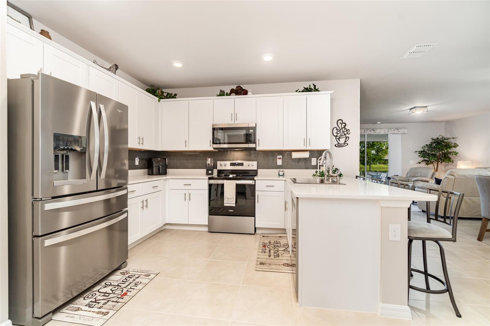 20474 PLUMWOOD LOOP, NORTH FORT MYERS, FL, 33917