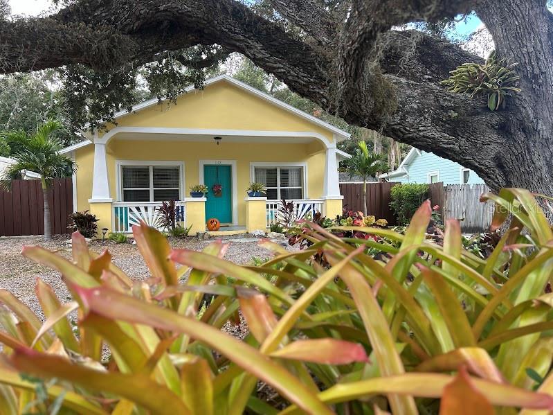 1168 BASS BLVD, DUNEDIN, FL, 34698