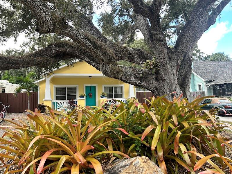 1168 BASS BLVD, DUNEDIN, FL, 34698