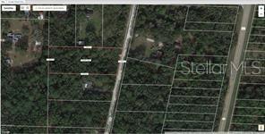 7377 KNOXVILLE DR, WEBSTER, FL, 33597