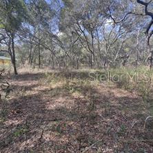 7377 KNOXVILLE DR, WEBSTER, FL, 33597