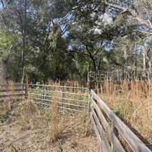 7377 KNOXVILLE DR, WEBSTER, FL, 33597