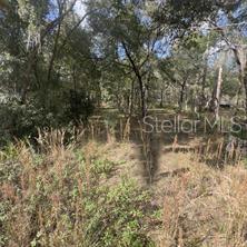 7377 KNOXVILLE DR, WEBSTER, FL, 33597