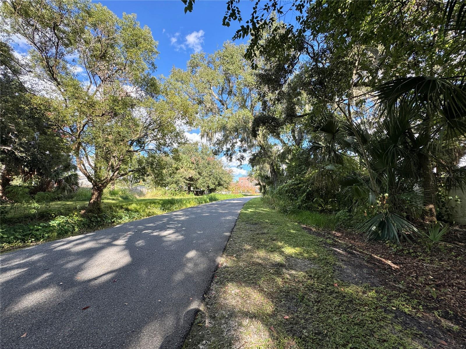 557 W PLANT ST, WINTER GARDEN, FL, 34787