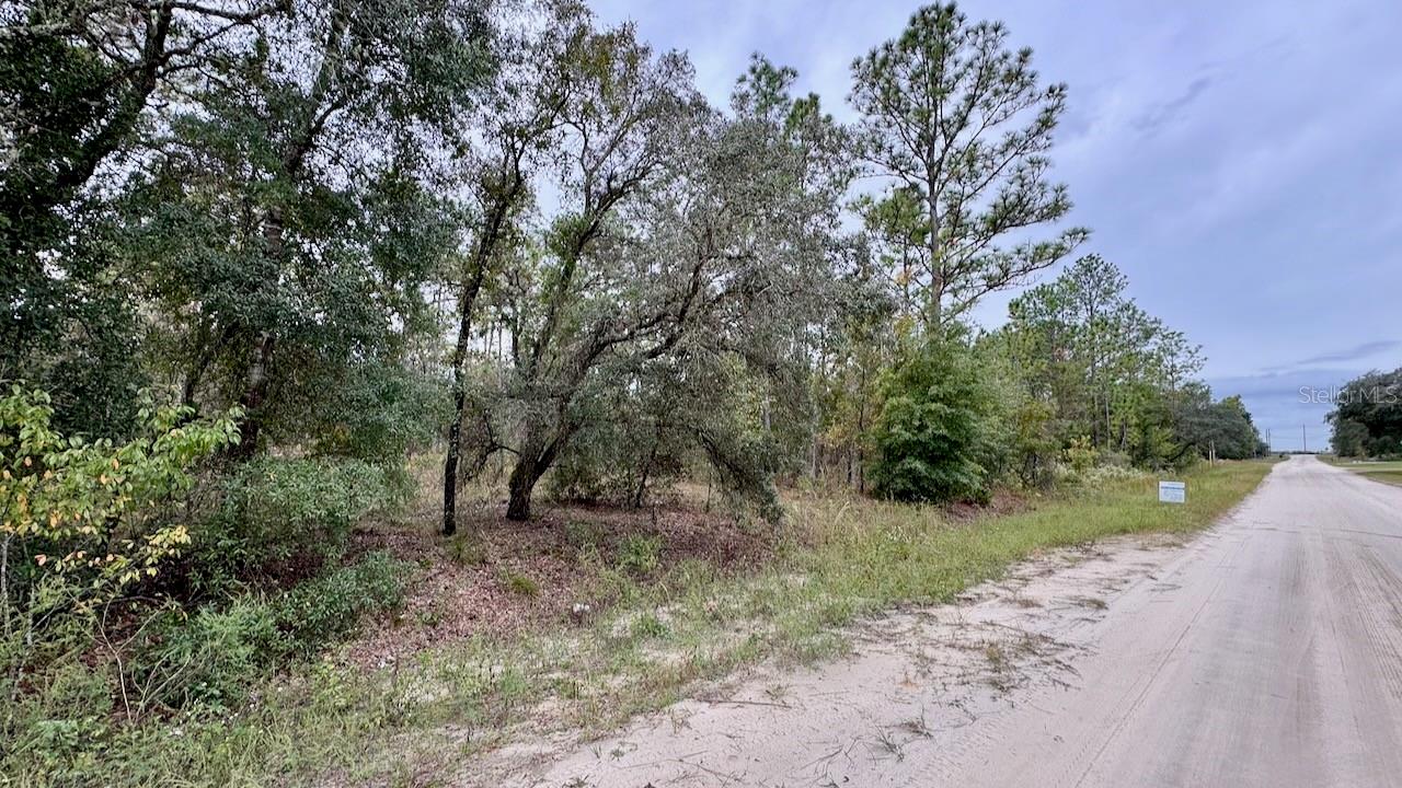 SW 89TH ST, DUNNELLON, FL, 34432