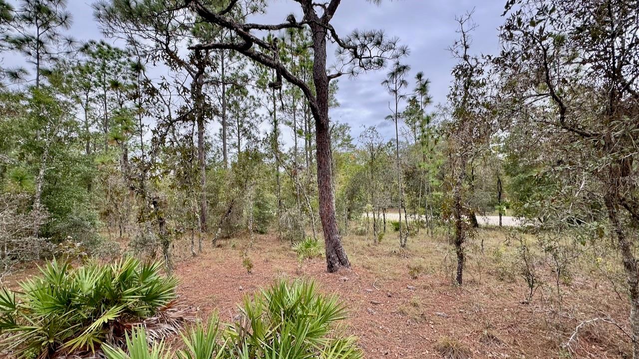 SW 89TH ST, DUNNELLON, FL, 34432