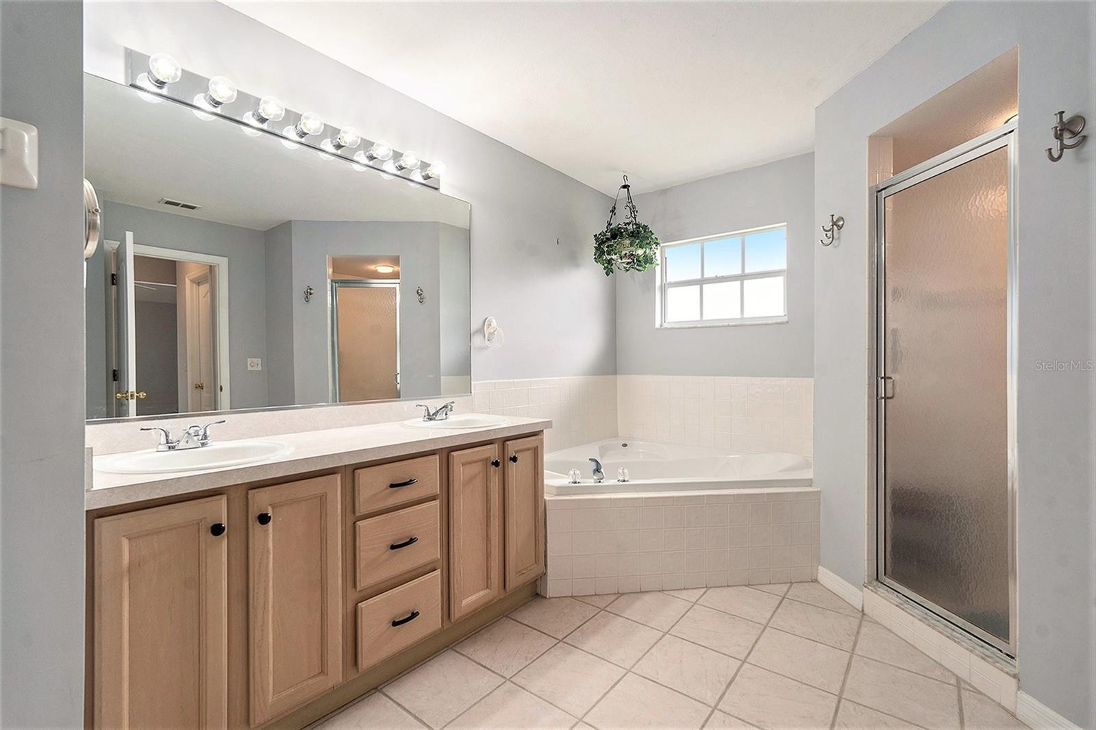 29418 SCHINNECOCK HILLS LN, SAN ANTONIO, FL, 33576