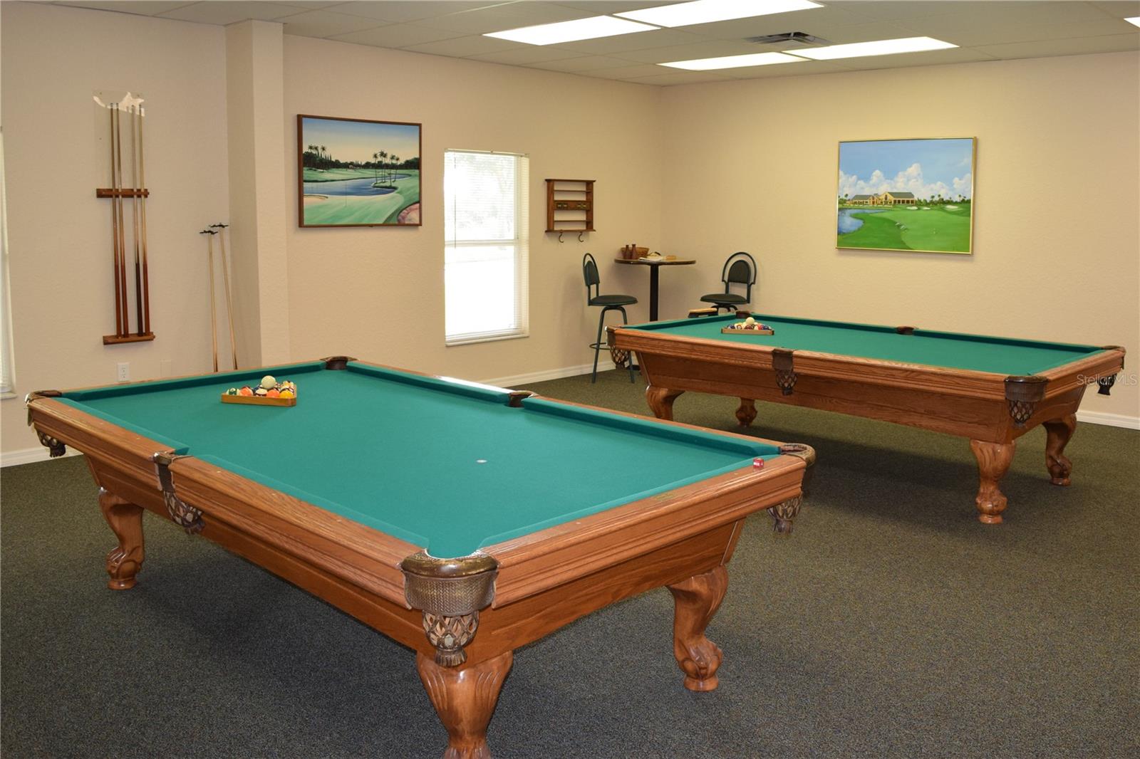 29418 SCHINNECOCK HILLS LN, SAN ANTONIO, FL, 33576