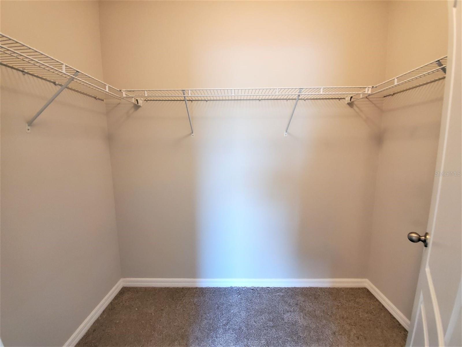 8342 PINE RIVER RD, TAMPA, FL, 33637