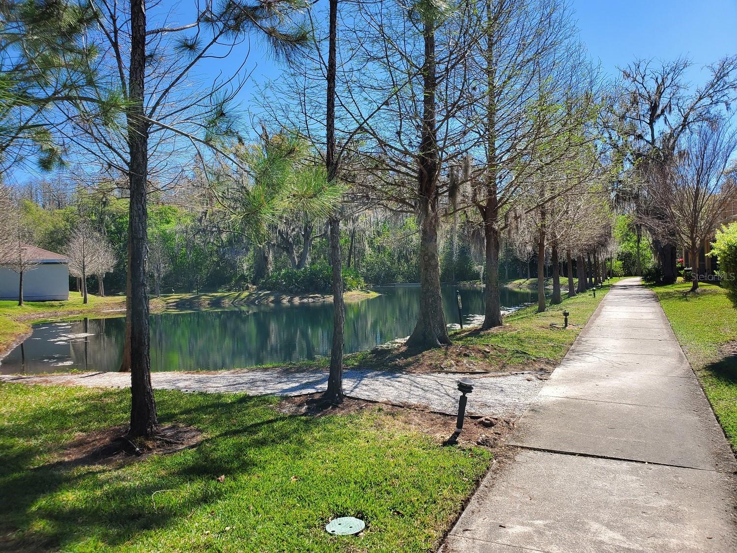 8342 PINE RIVER RD, TAMPA, FL, 33637