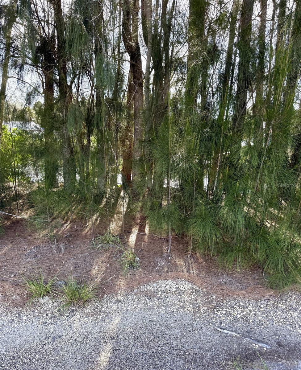 0 JILLS LANE, ARIPEKA, FL, 34679