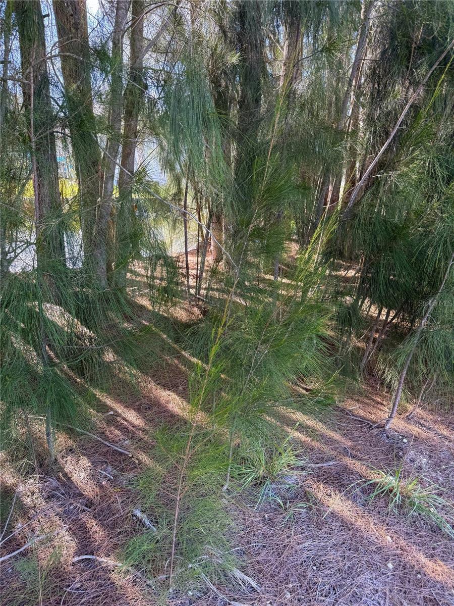 0 JILLS LANE, ARIPEKA, FL, 34679