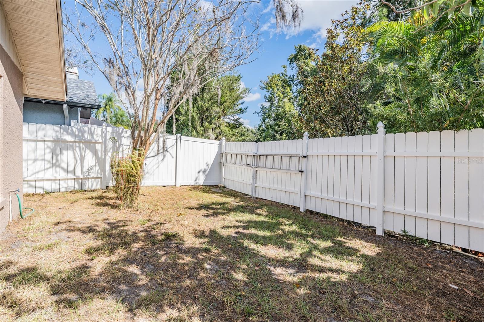Side yard space to the left of the pool lanai