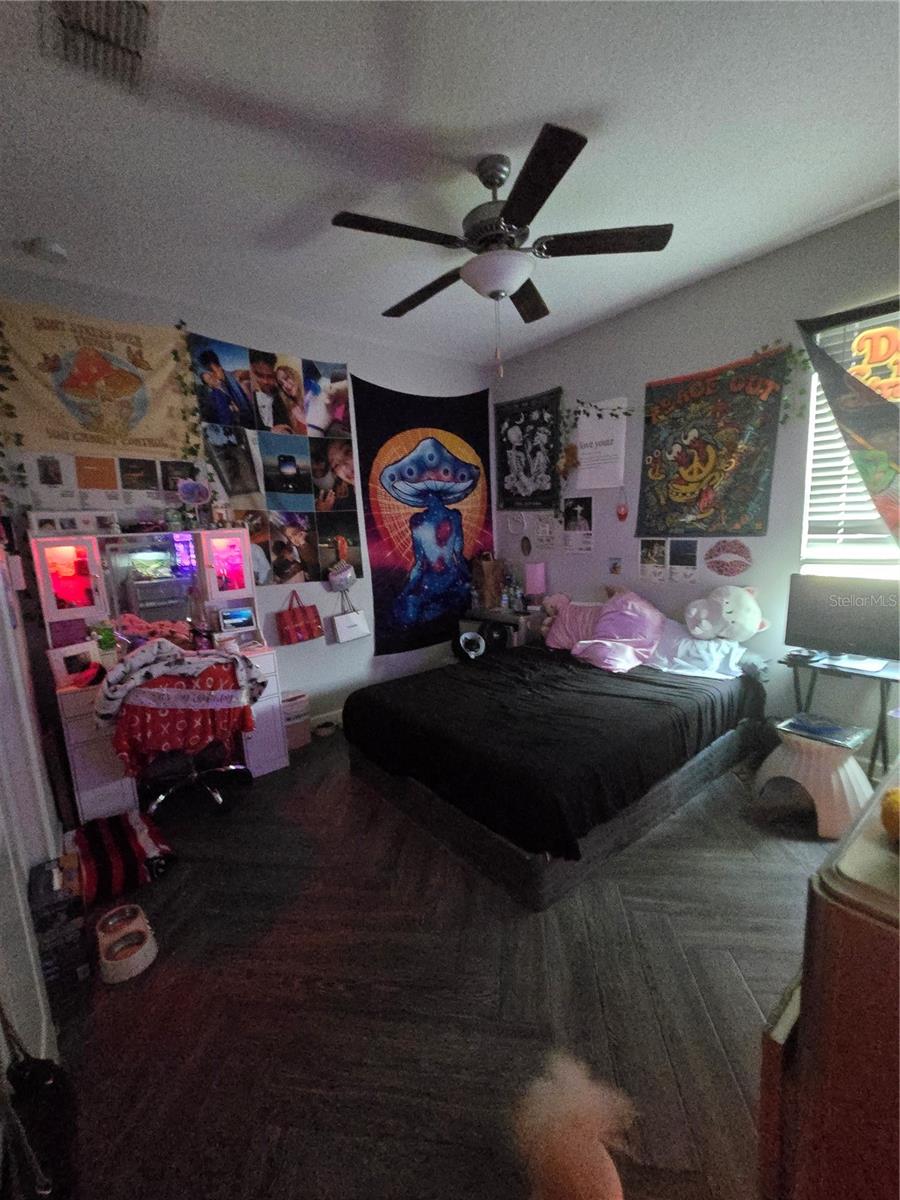 11436 CHILLY WATER CT, RIVERVIEW, FL, 33569