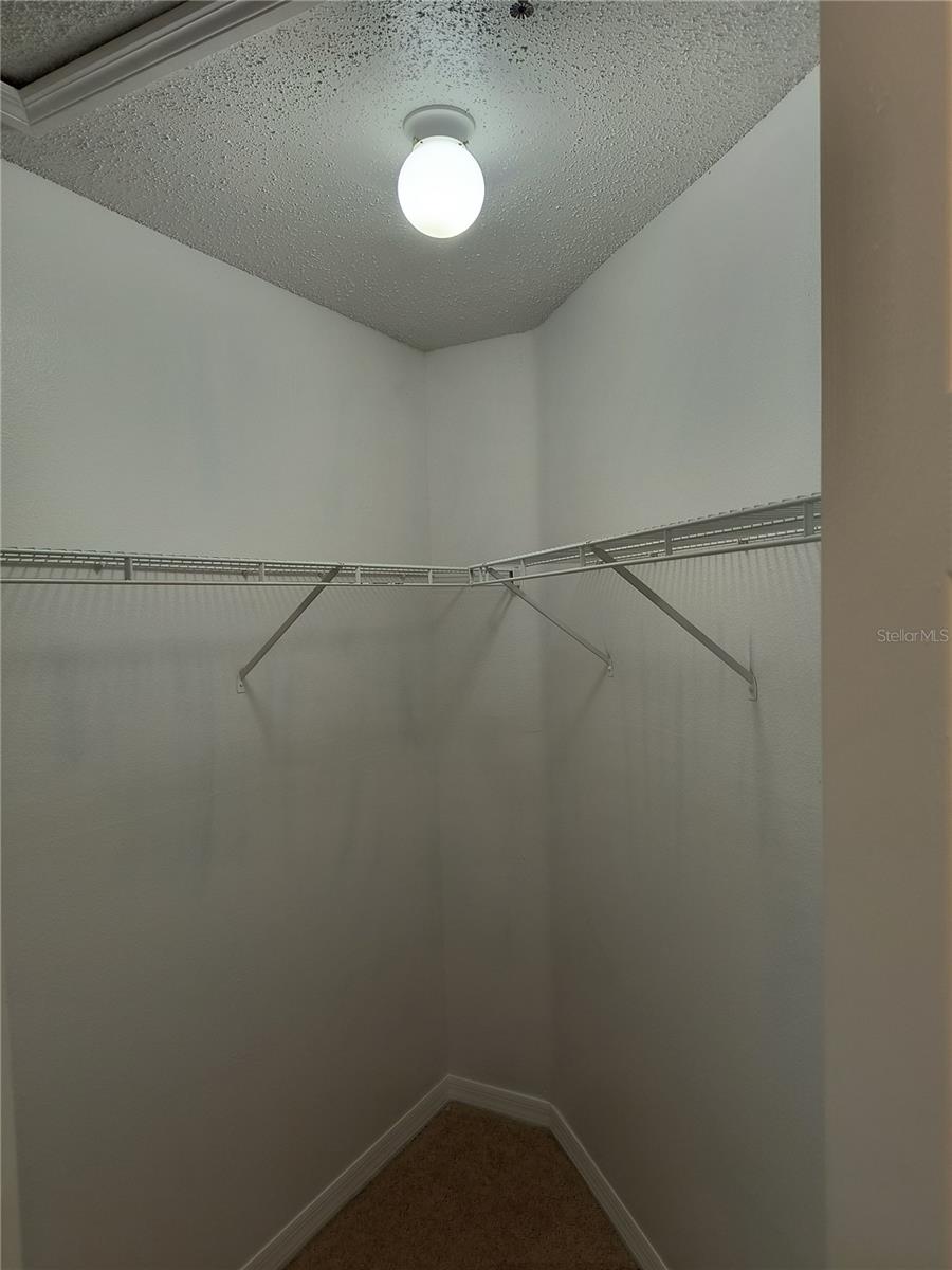 1657 WINDSOR OAK CT, KISSIMMEE, FL, 34744