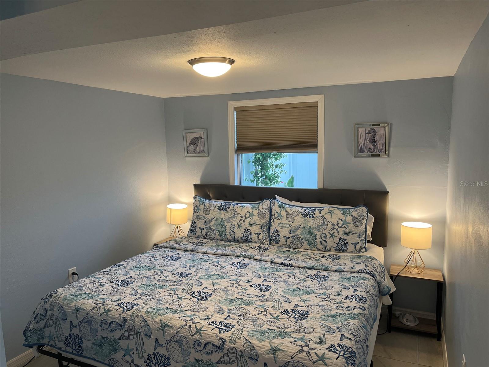 CLEARWATER, FL, 33756