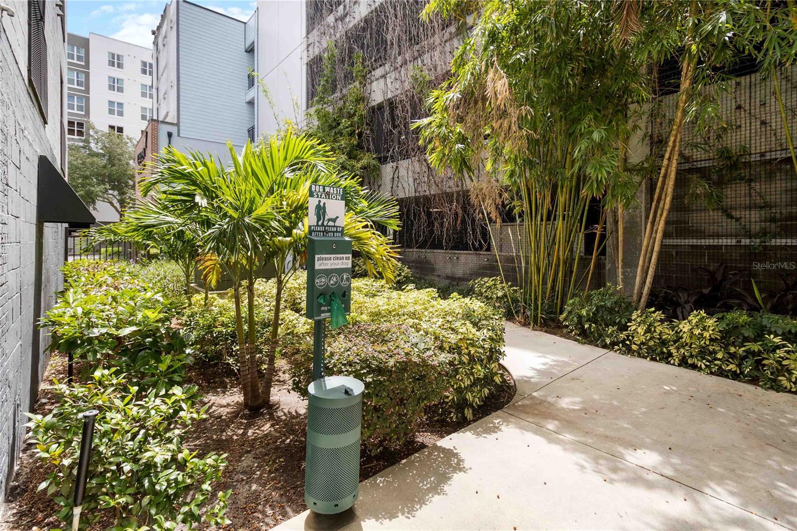 62 W COLONIAL DR #301, ORLANDO, FL, 32801