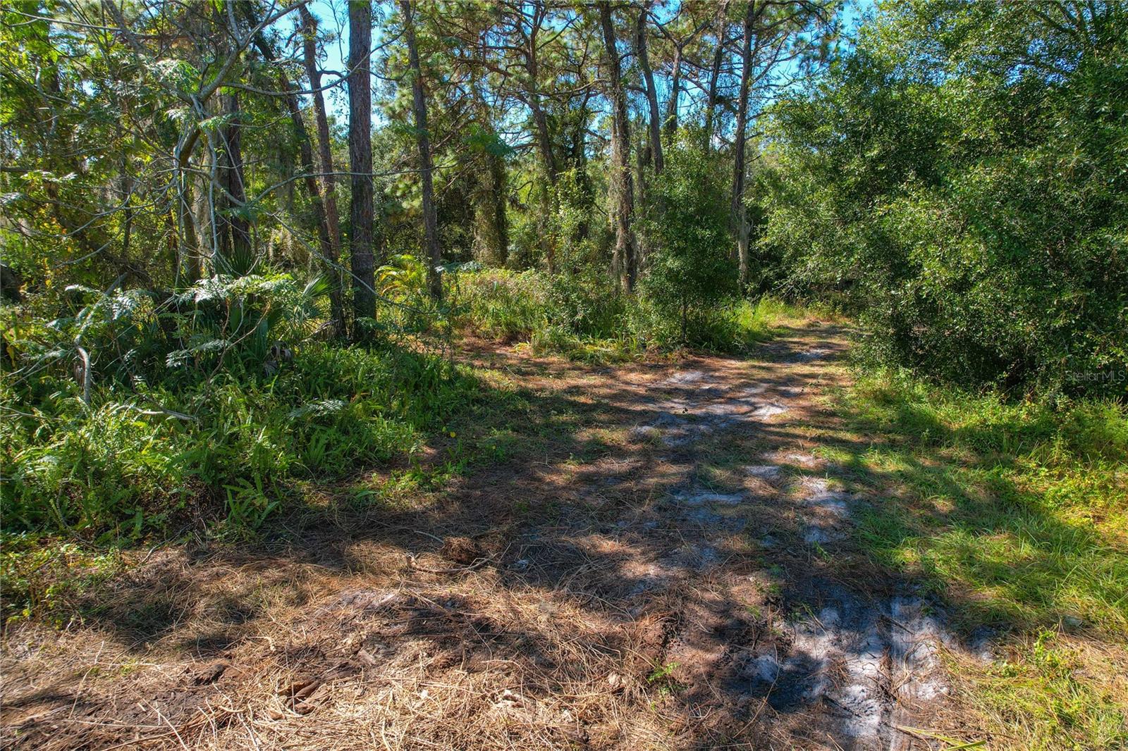 1320 JAM LN, ODESSA, FL, 33556