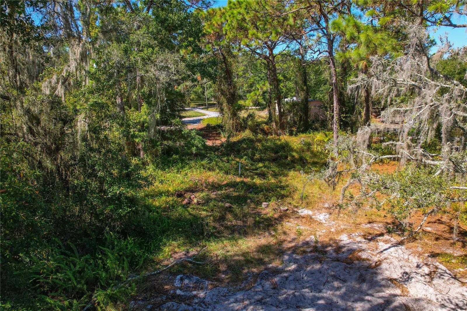 1320 JAM LN, ODESSA, FL, 33556