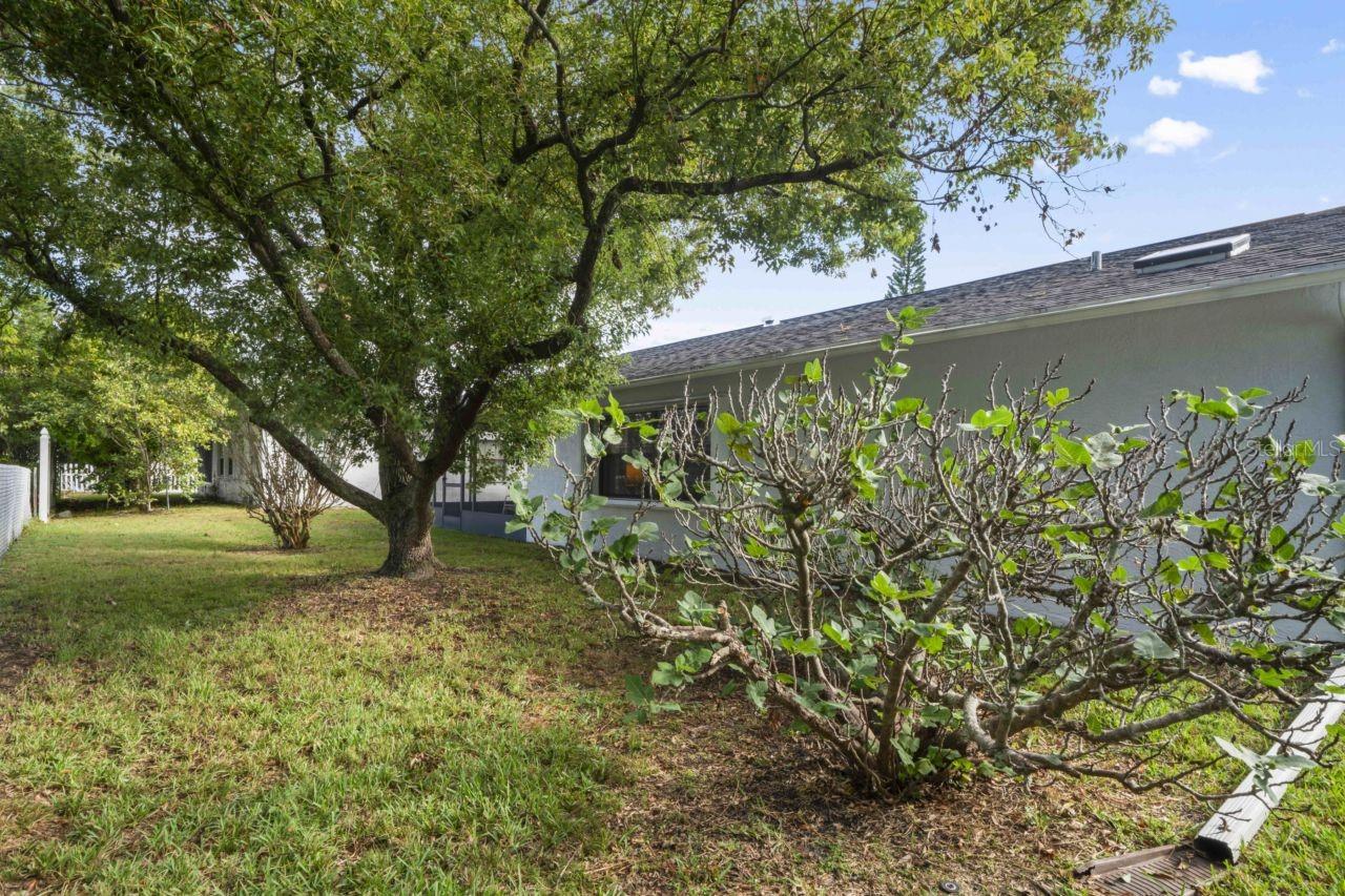 9115 GLEN MOOR LN, PORT RICHEY, FL, 34668