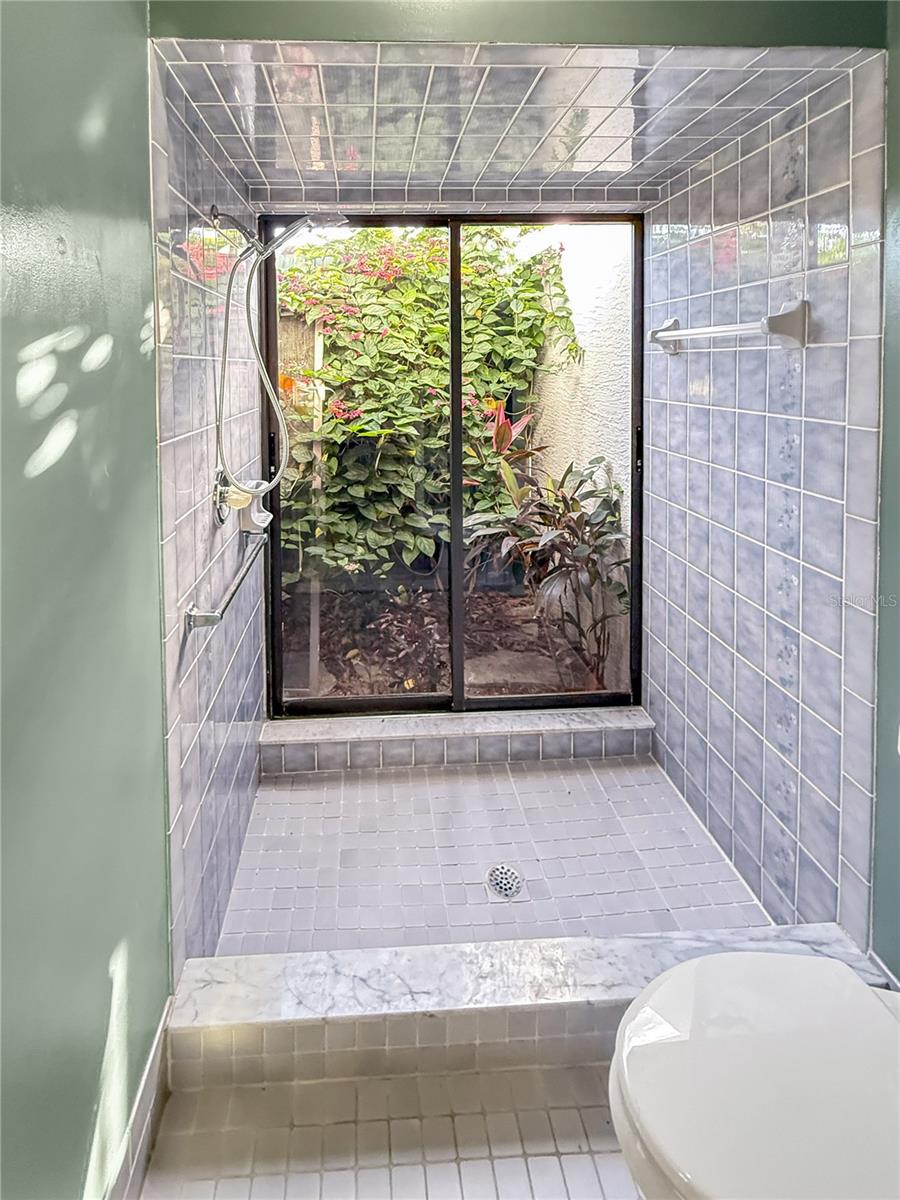 Master Bath Shower