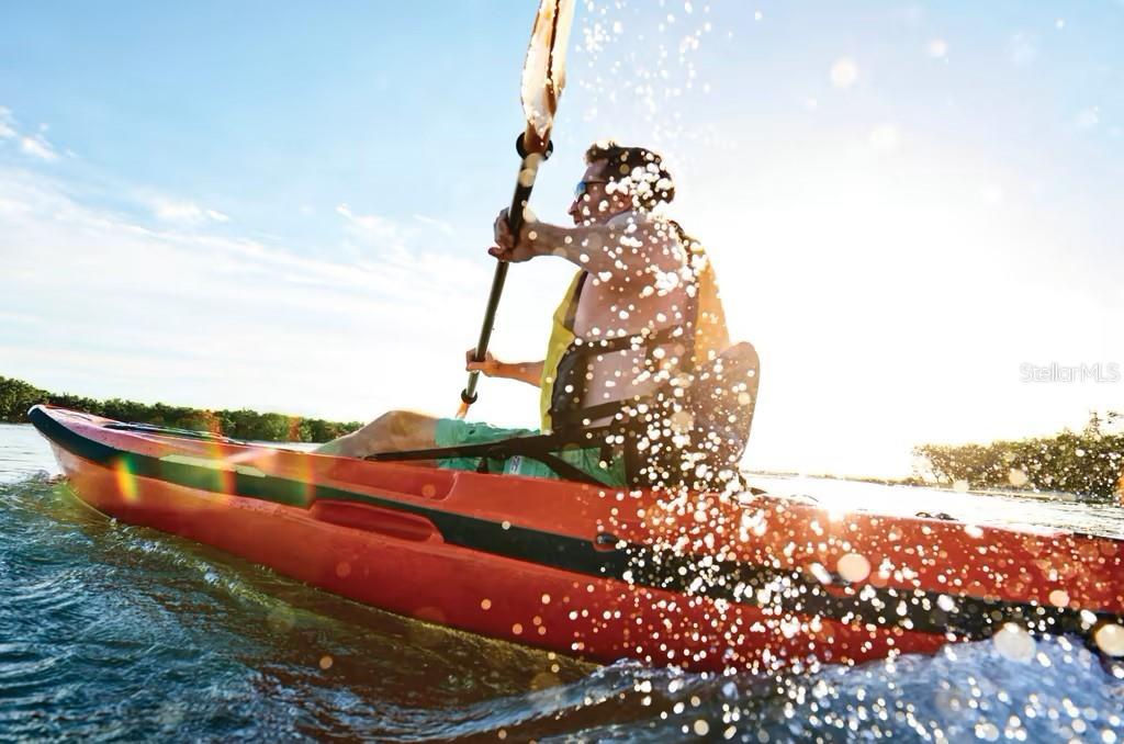 2377 PALM PARK LOOP, CLERMONT, FL, 34714