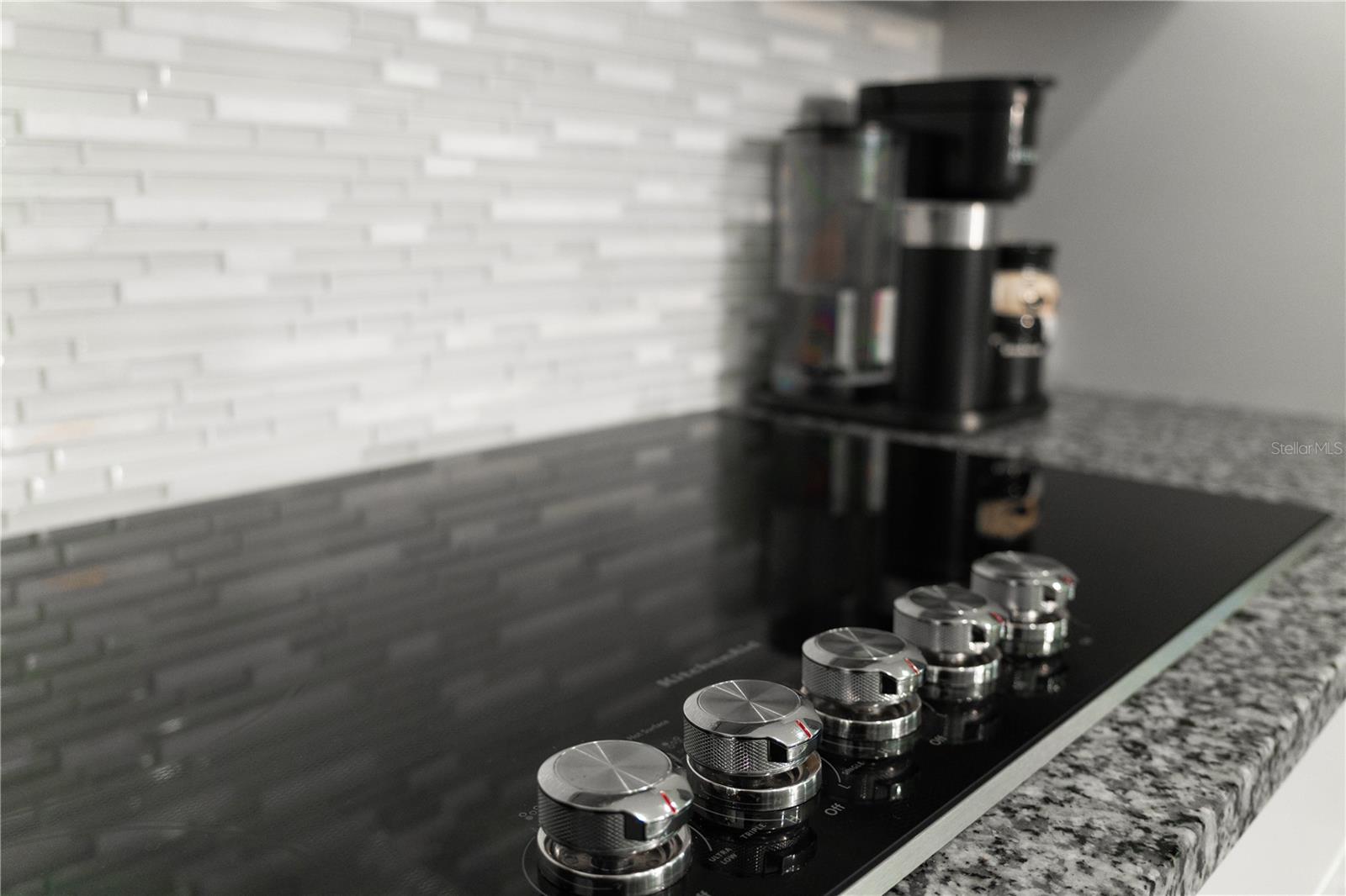 2377 PALM PARK LOOP, CLERMONT, FL, 34714