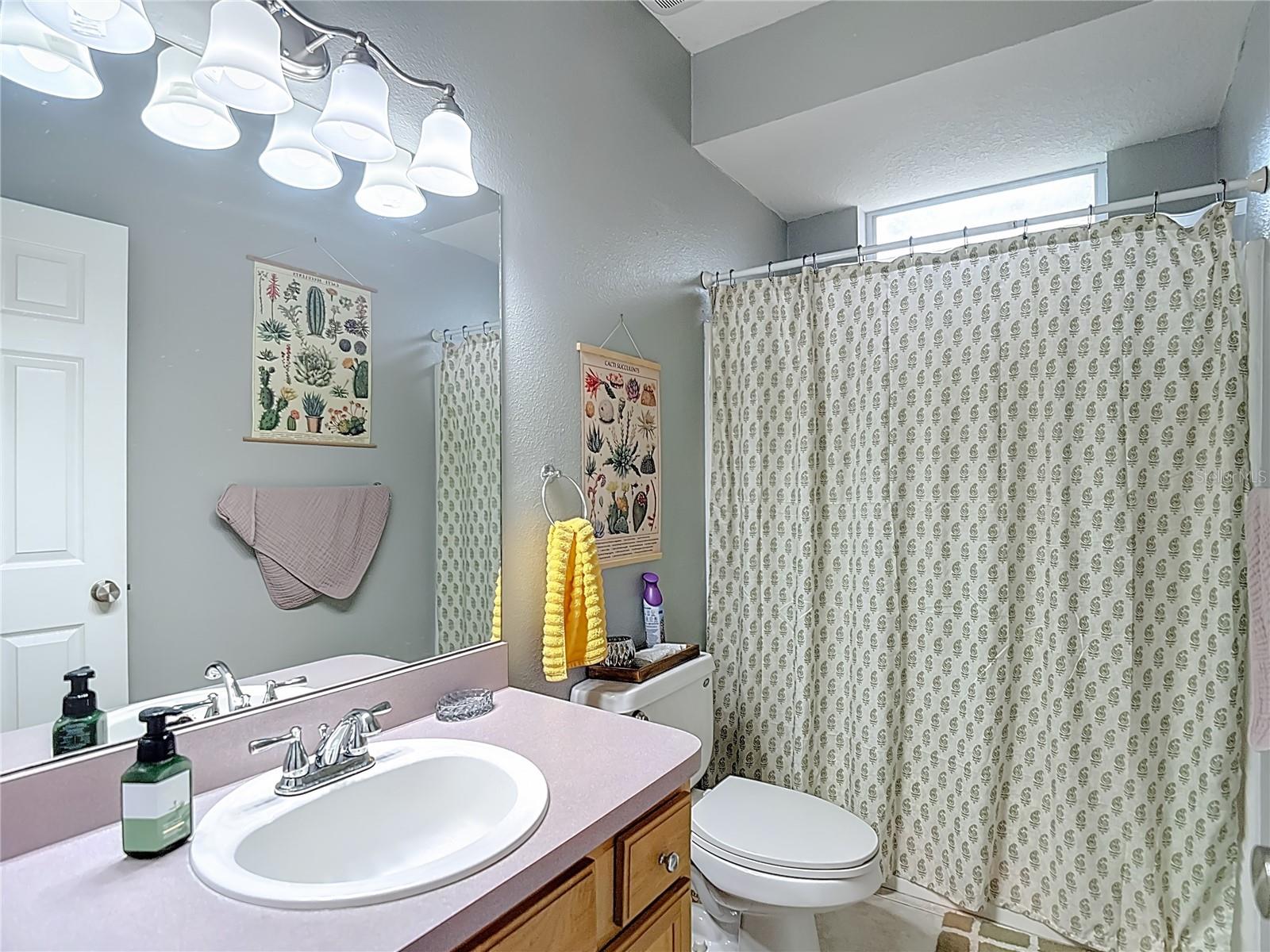 6353 ASHVILLE DR, ZEPHYRHILLS, FL, 33542