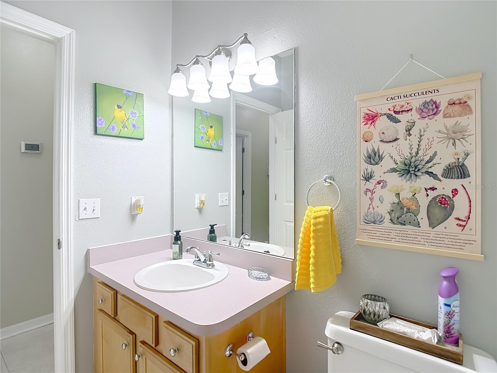 6353 ASHVILLE DR, ZEPHYRHILLS, FL, 33542