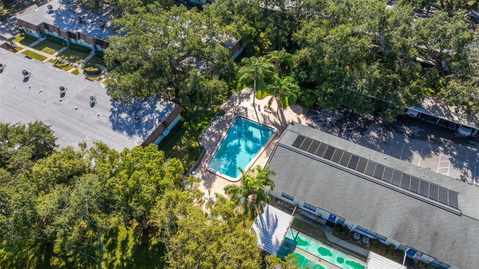 200 GLENNES LN #103, DUNEDIN, FL, 34698