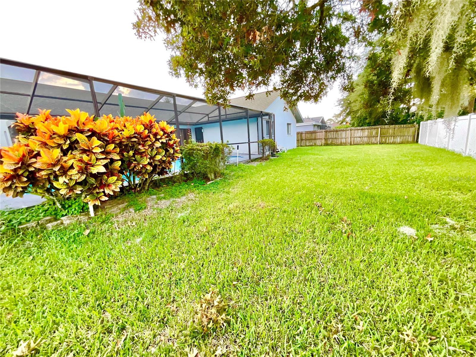 1349 HILLSIDE DR, TARPON SPRINGS, FL, 34689