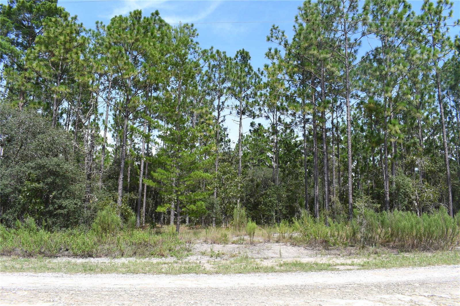 TBD SE 136TH AVE, DUNNELLON, FL, 34431