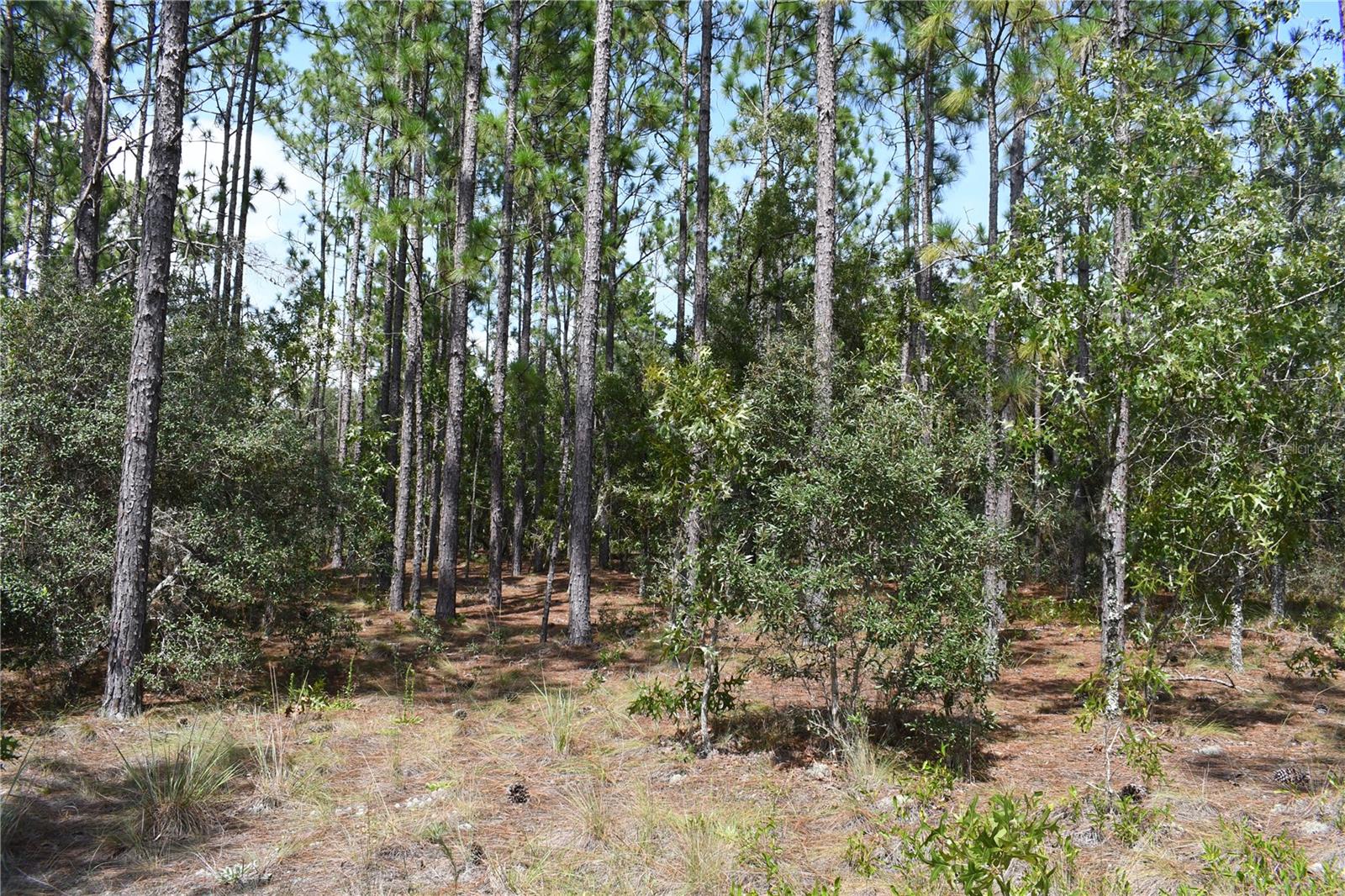 TBD SE 136TH AVE, DUNNELLON, FL, 34431