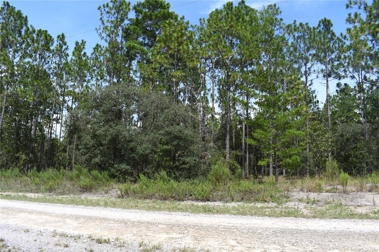TBD SE 136TH AVE, DUNNELLON, FL, 34431