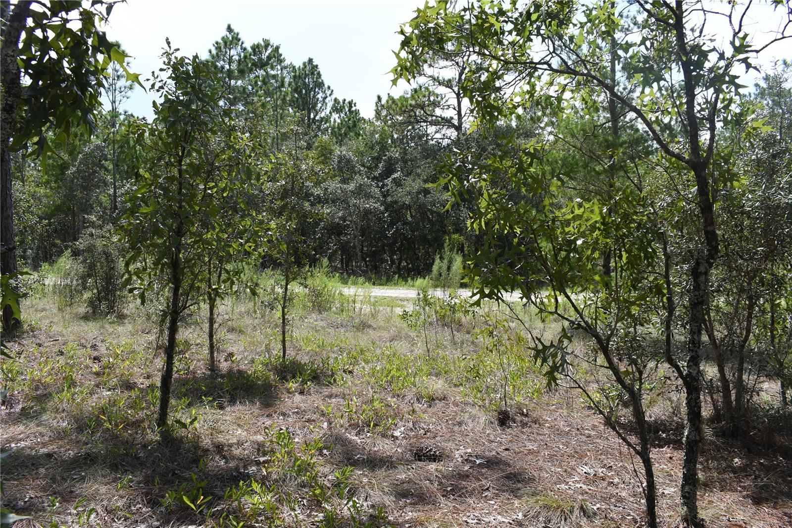 TBD SE 136TH AVE, DUNNELLON, FL, 34431