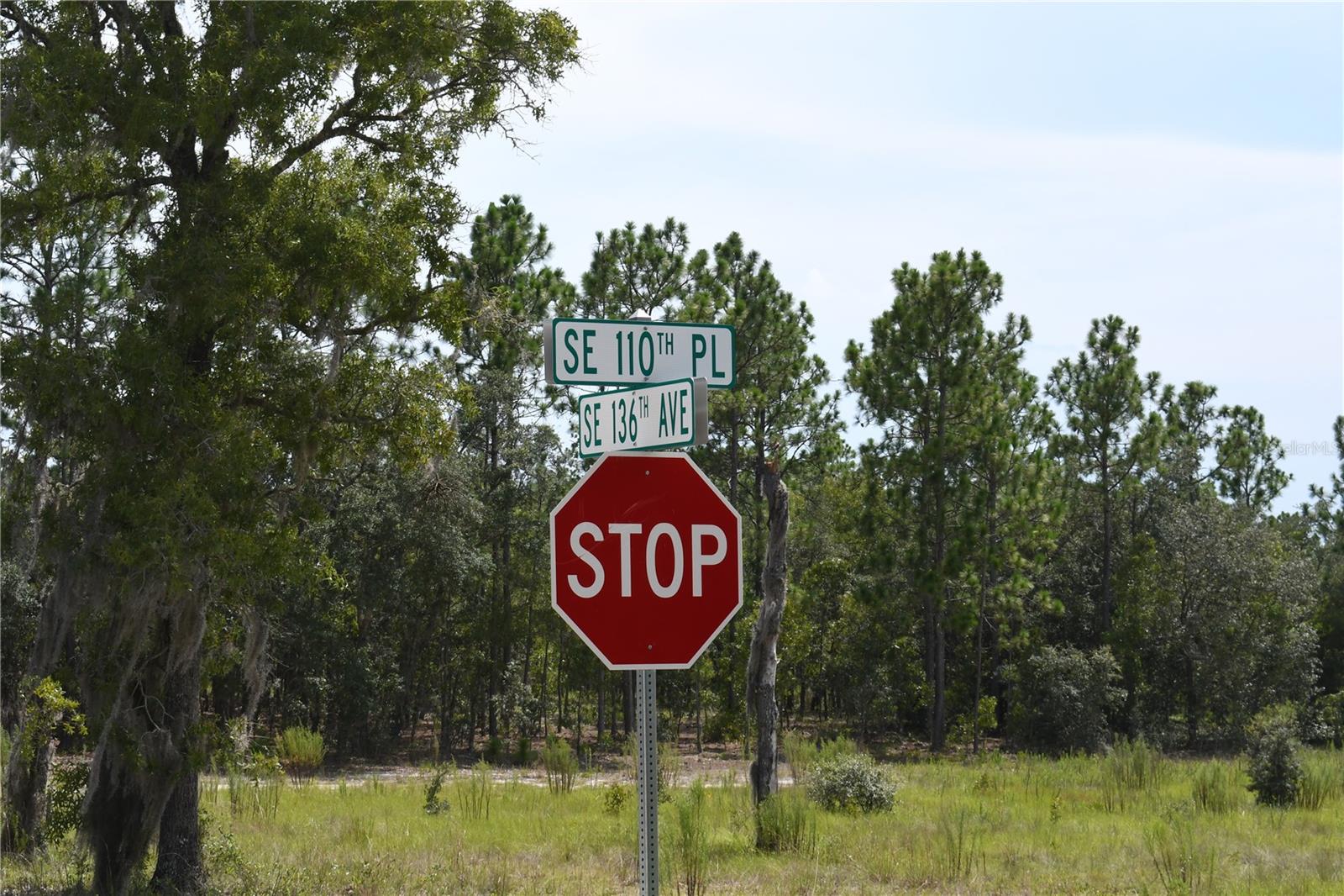 TBD SE 136TH AVE, DUNNELLON, FL, 34431