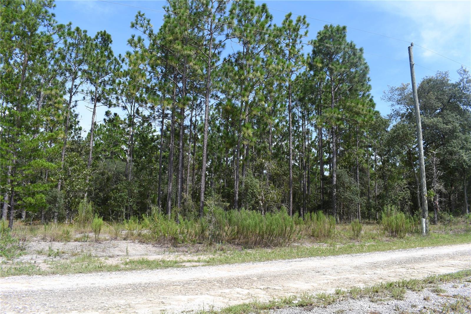 TBD SE 136TH AVE, DUNNELLON, FL, 34431