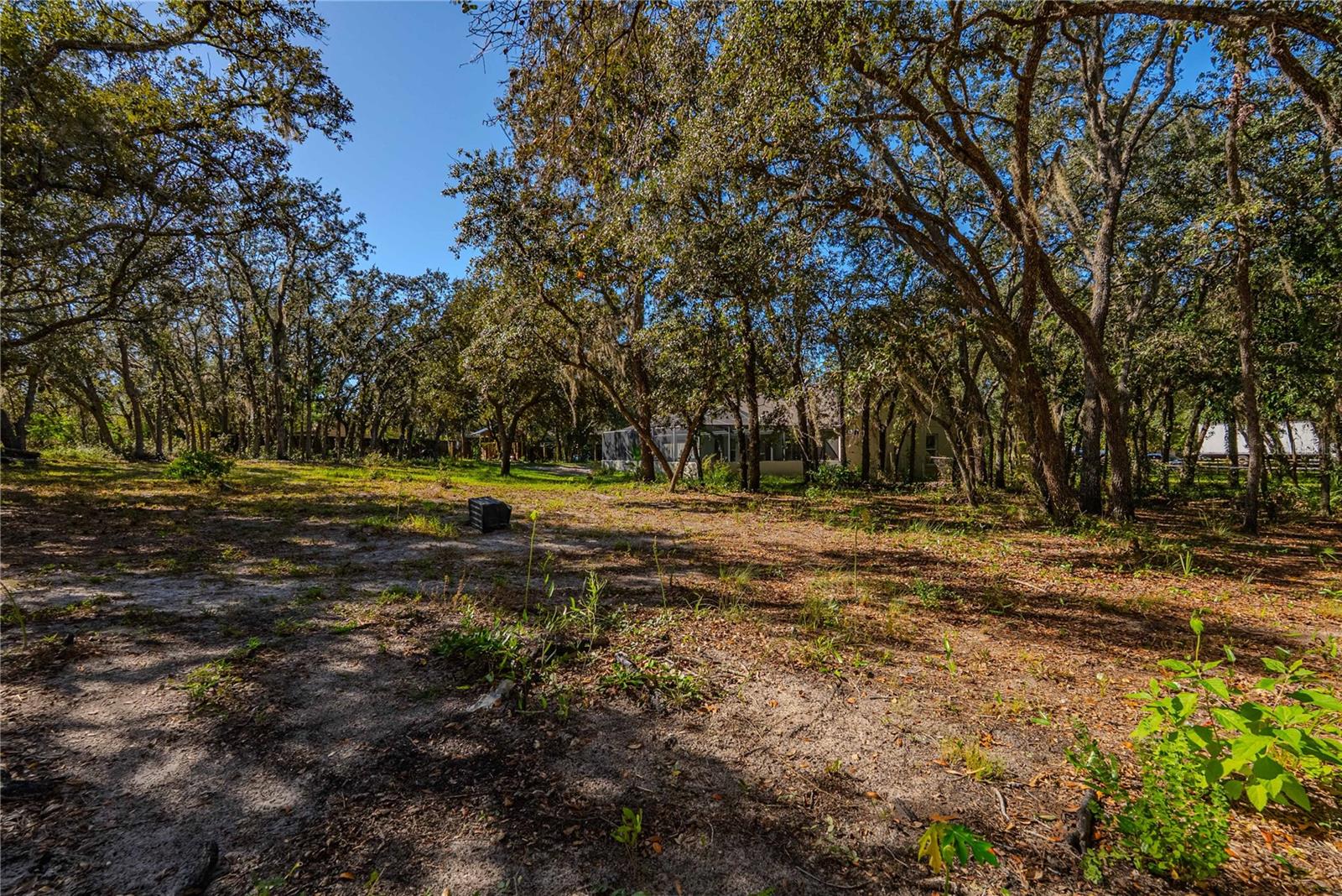 14214 CINNAMAN LN, WEEKI WACHEE, FL, 34614