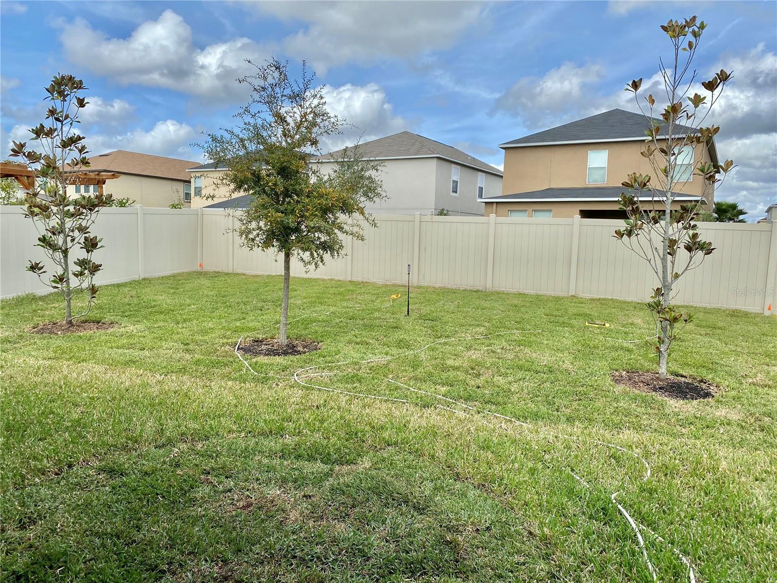 21036 WISTFUL YEARN DR, LAND O LAKES, FL, 34637