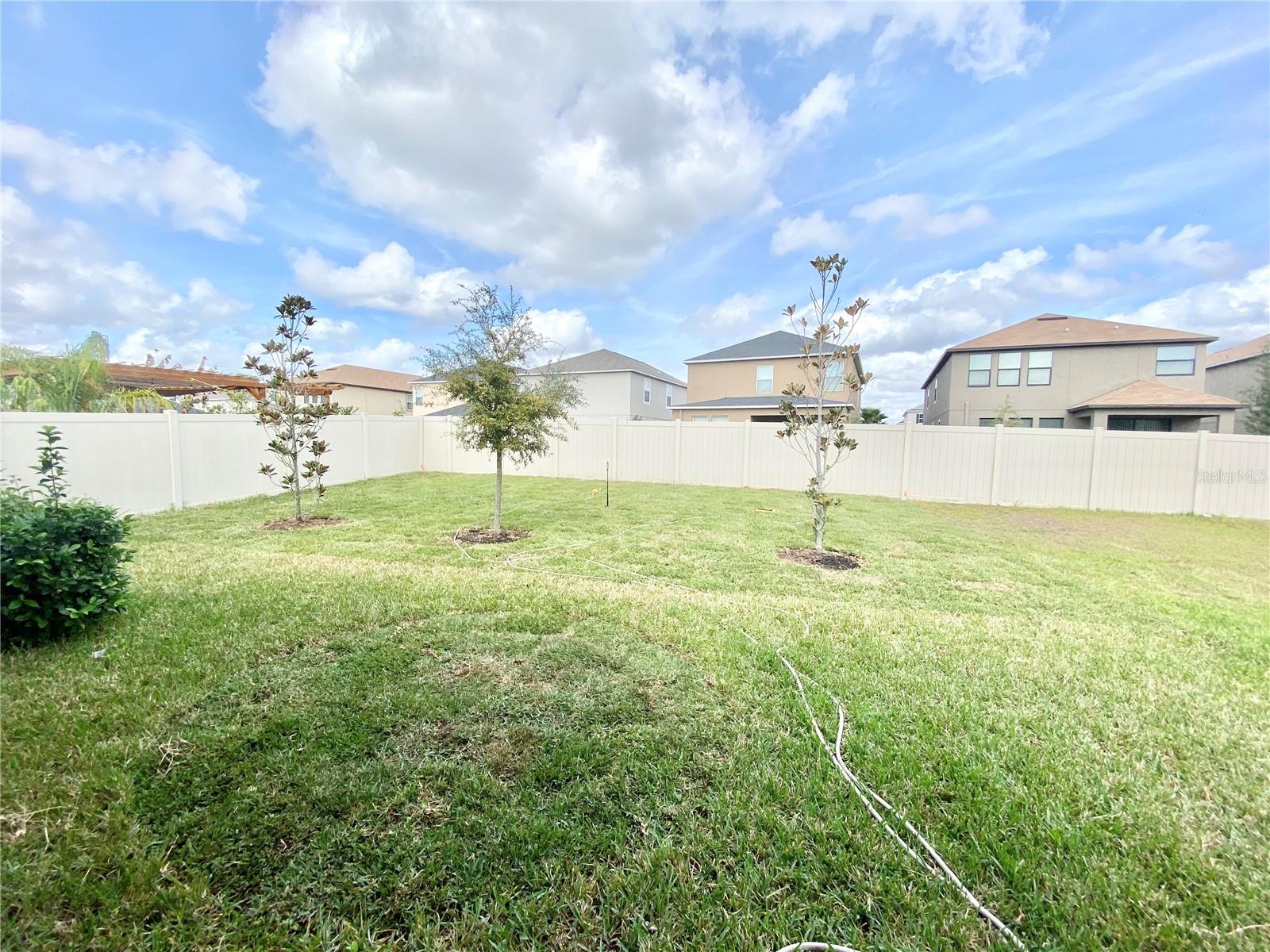 21036 WISTFUL YEARN DR, LAND O LAKES, FL, 34637