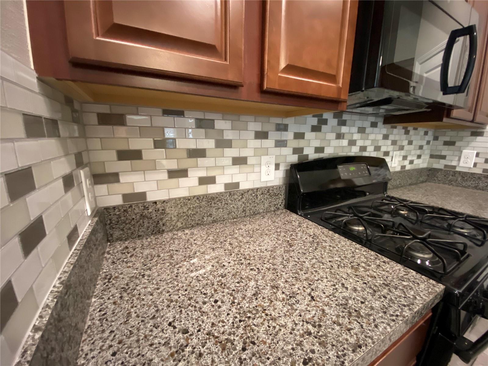 21036 WISTFUL YEARN DR, LAND O LAKES, FL, 34637