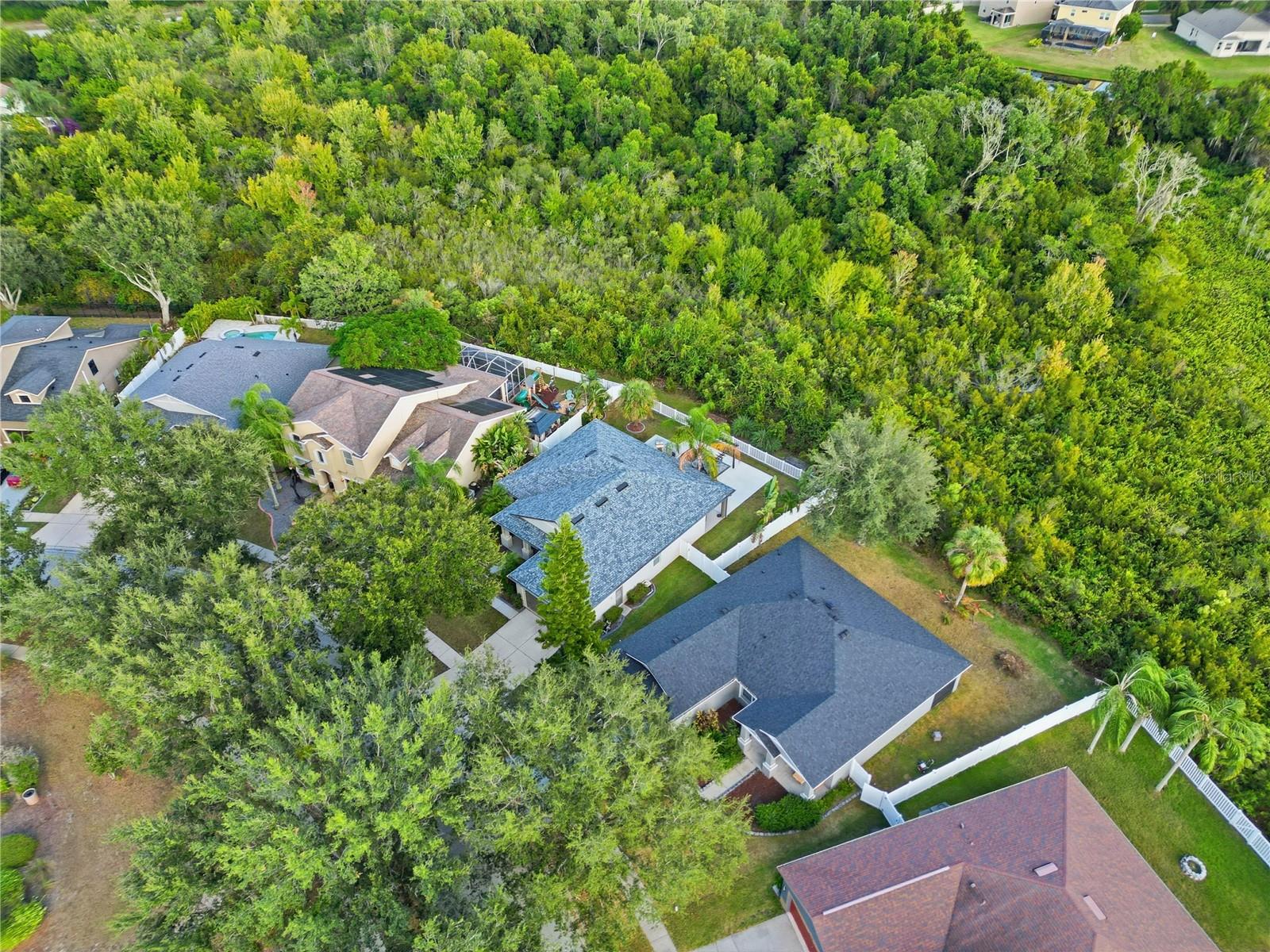 10916 HOLLY CONE DR, RIVERVIEW, FL, 33569