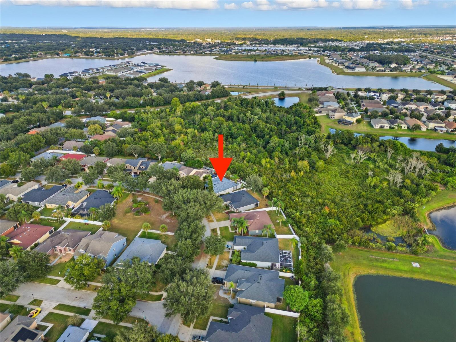 10916 HOLLY CONE DR, RIVERVIEW, FL, 33569