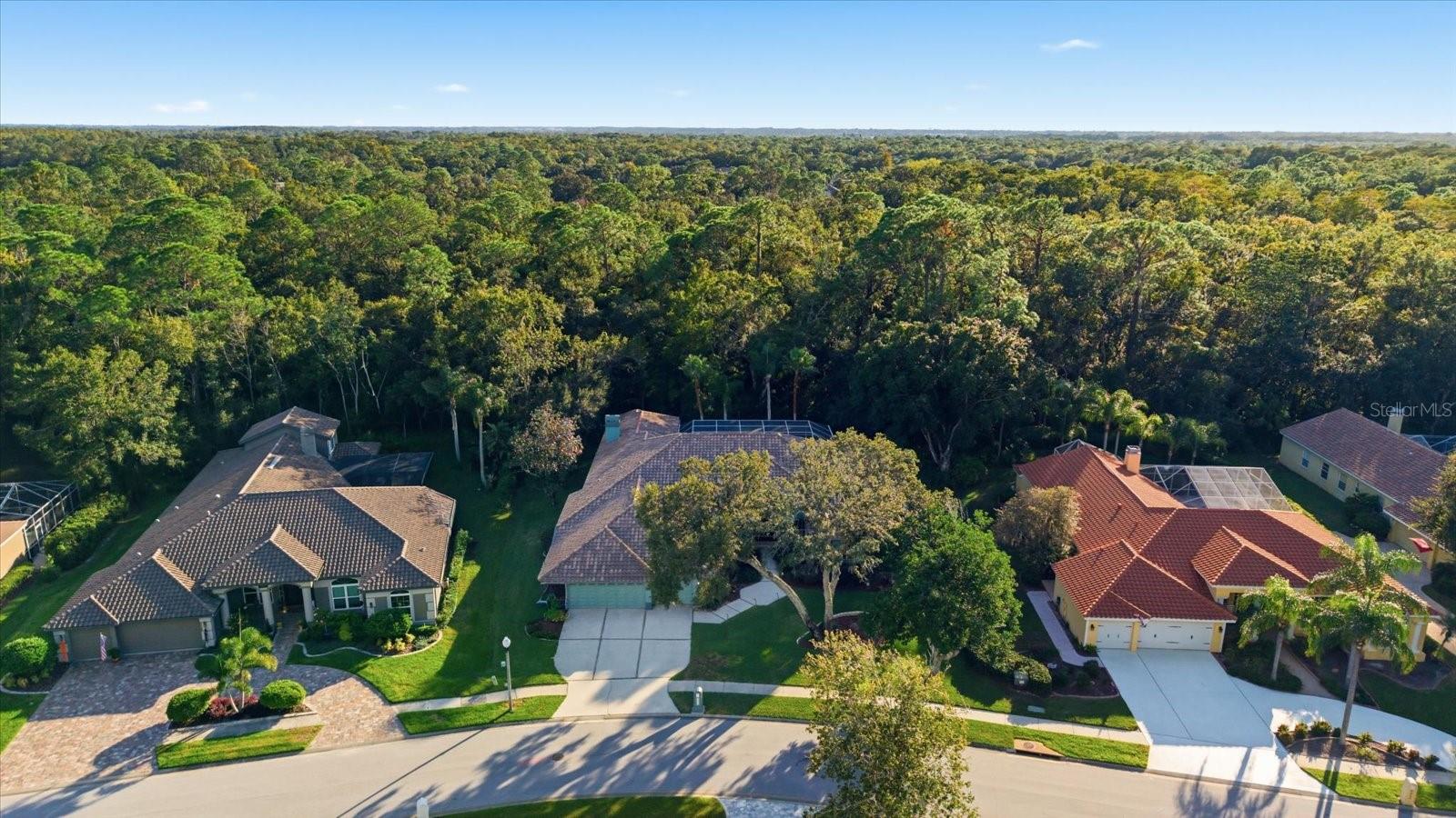 4954 TURTLE CREEK TRL, OLDSMAR, FL, 34677