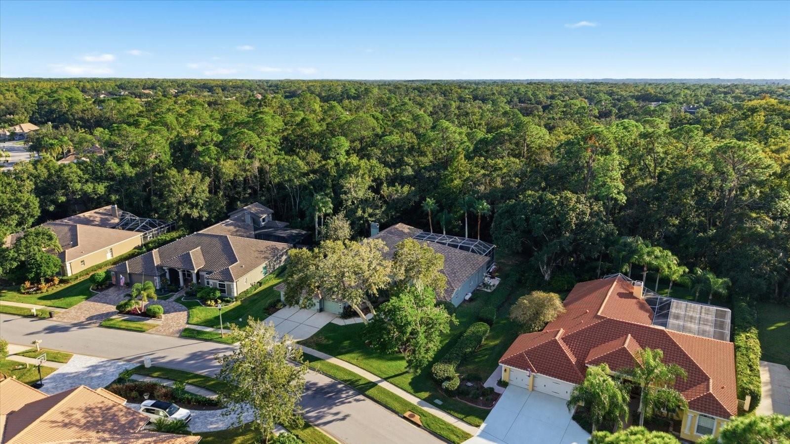4954 TURTLE CREEK TRL, OLDSMAR, FL, 34677